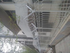 BTO 22不锈钢滚刺笼厂 专业制造与广泛应用