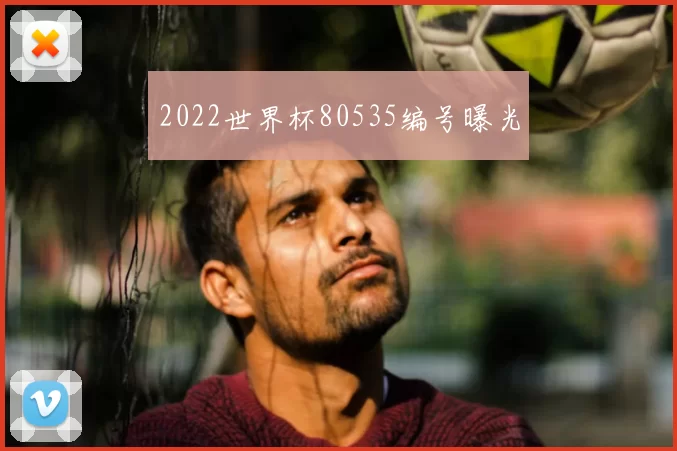 2022世界杯80535编号曝光