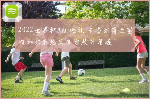 2022世界杯A组巡礼 卡塔尔荷兰塞内加尔和厄瓜多尔展开角逐