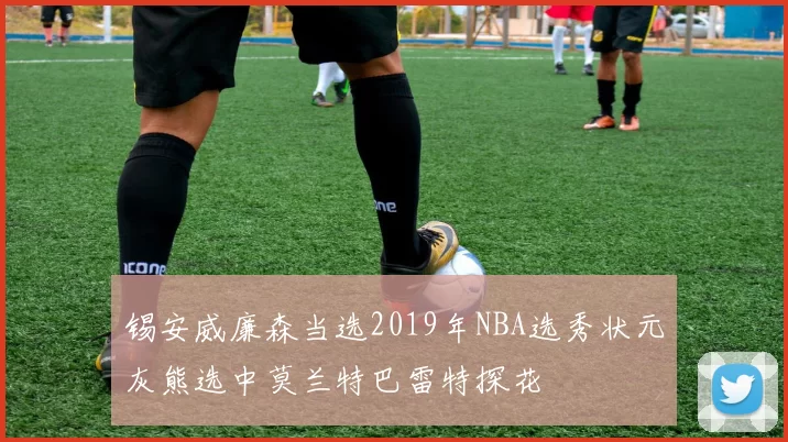 锡安威廉森当选2019年NBA选秀状元灰熊选中莫兰特巴雷特探花