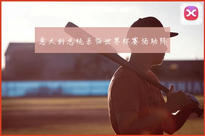 意大利总统亲临世界杯赛场助阵