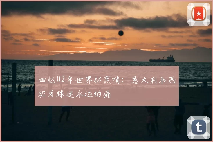 回忆02年世界杯黑哨：意大利和西班牙球迷永远的痛