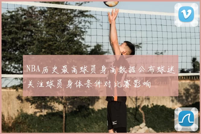 NBA历史最高球员身高数据公布球迷关注球员身体条件对比赛影响