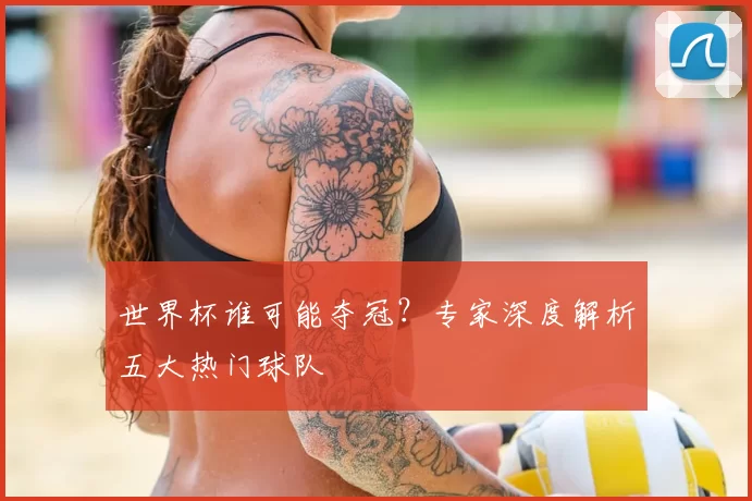 世界杯谁可能夺冠？专家深度解析五大热门球队