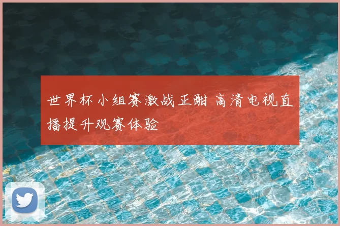 世界杯小组赛激战正酣 高清电视直播提升观赛体验