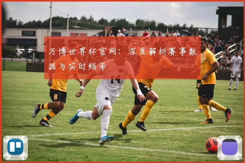 万博世界杯官网：深度解析赛事数据与实时赔率