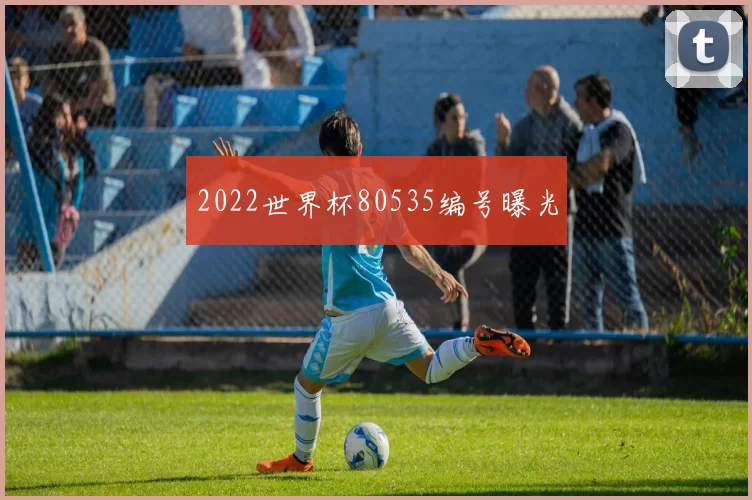 2022世界杯80535编号曝光