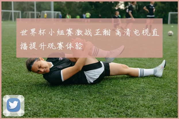 世界杯小组赛激战正酣 高清电视直播提升观赛体验