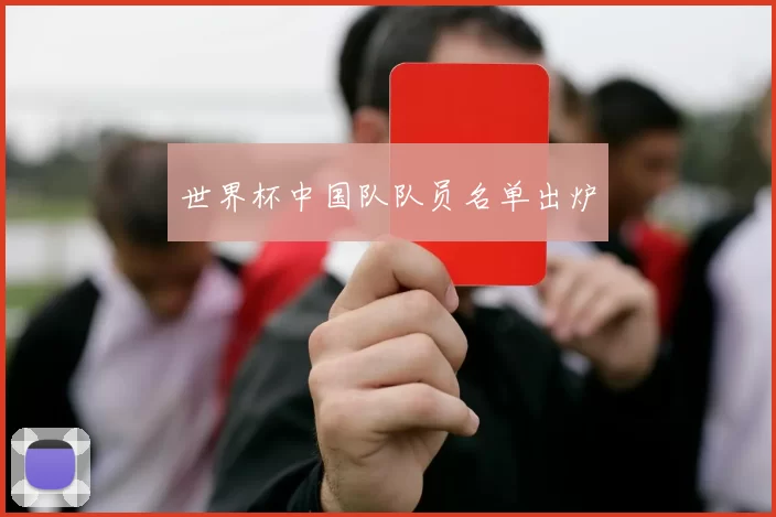 世界杯中国队队员名单出炉